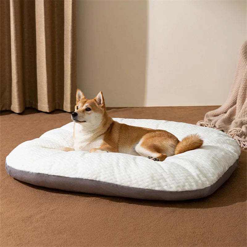 Mysig Oval Plyschbädd för Hund och Katt