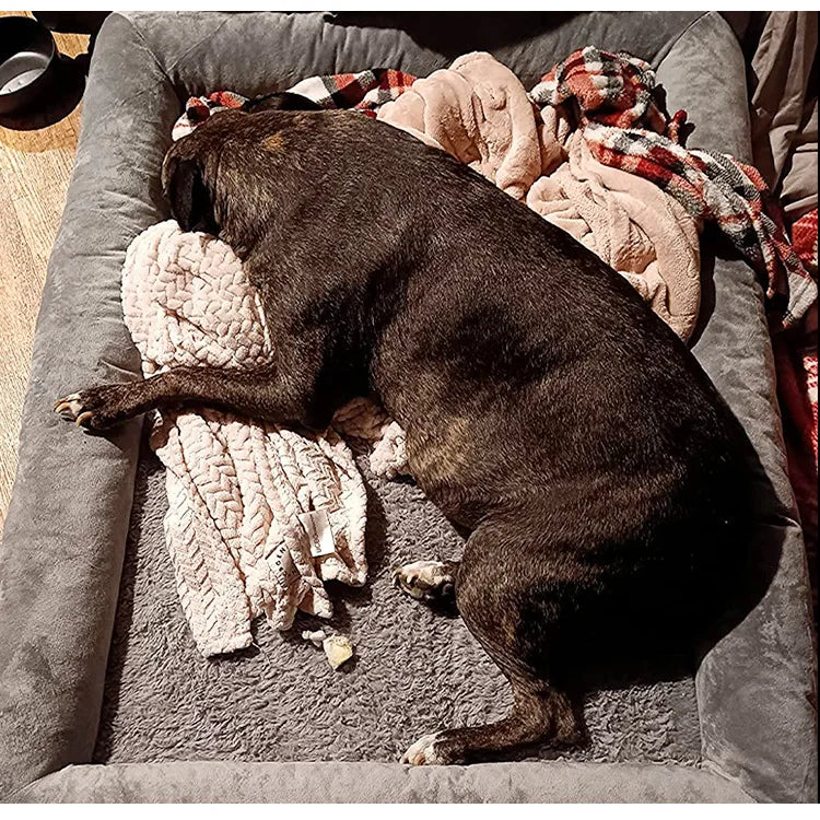 Fyrkantig Plyschbädd för Hund och Katt