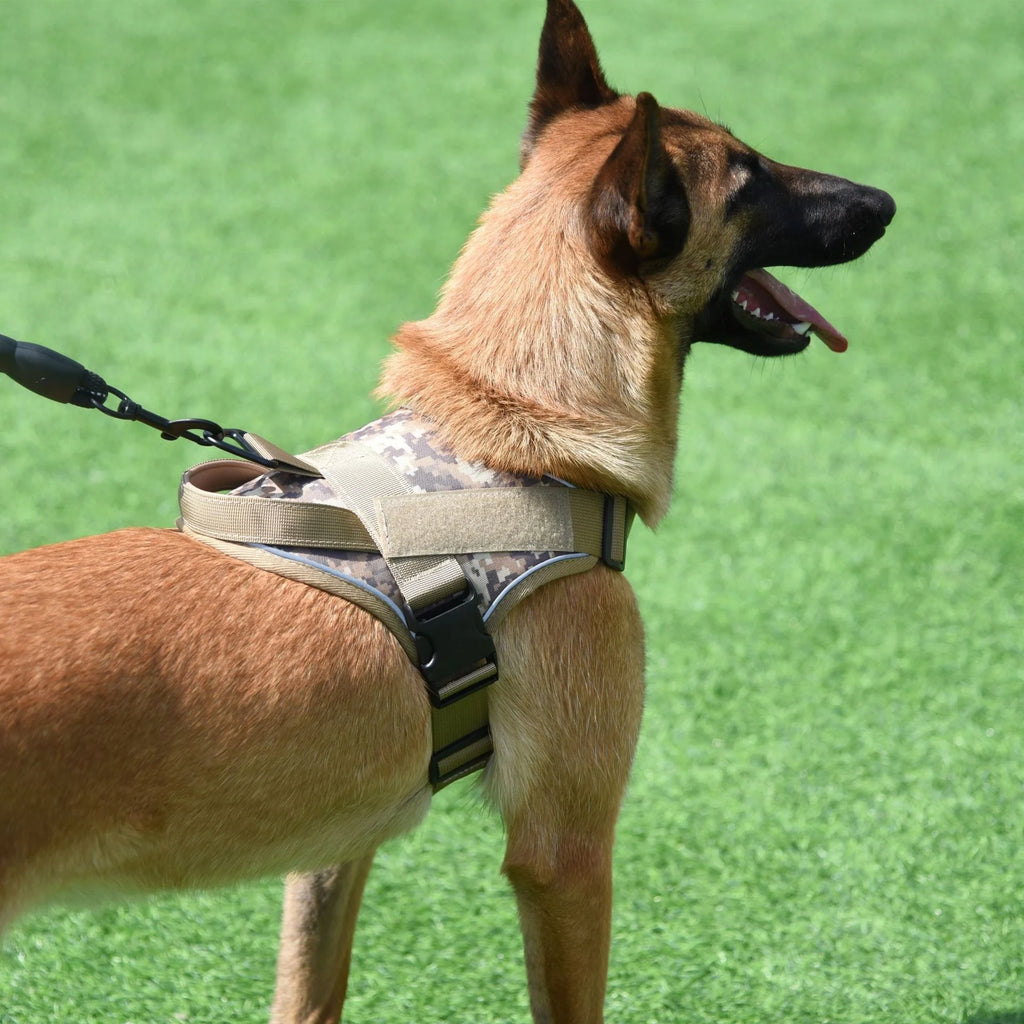 Justerbar Reflekterande Hundsele för Promenad och Träning