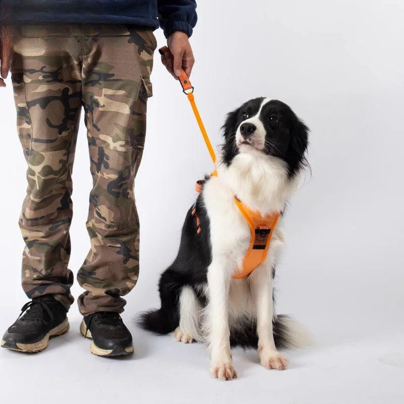 Justerbar Reflekterande Hundsele med Koppel för Promenad och Träning