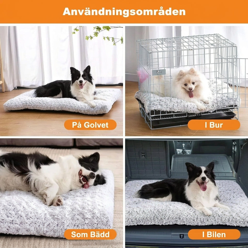 Mjuk Anti Slip Plyschbädd för Hund och Katt