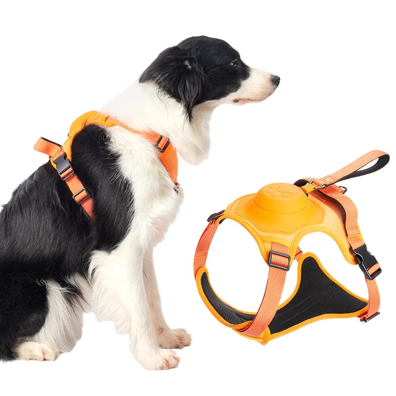 Justerbar Reflekterande Hundsele med Koppel för Promenad och Träning