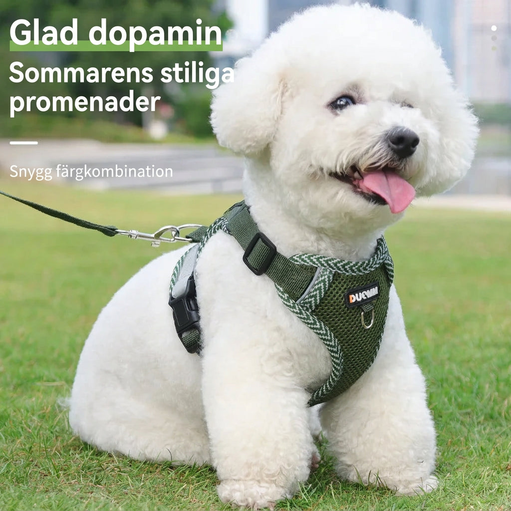 Justerbar Reflekterande Hundsele och Koppel Set för Promenad och Träning