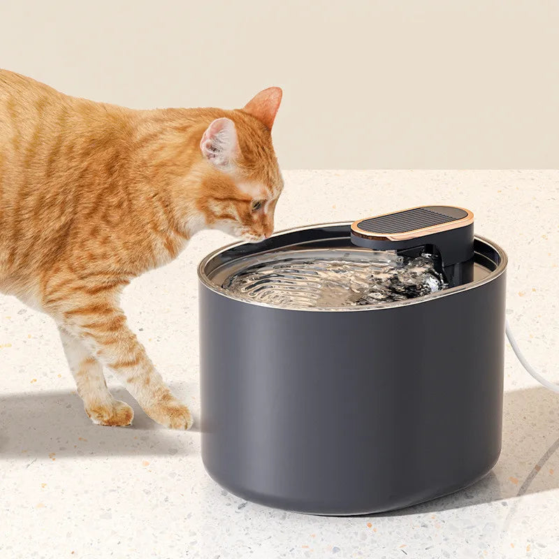 Automatisk Vattendispenser för Hund och Katt
