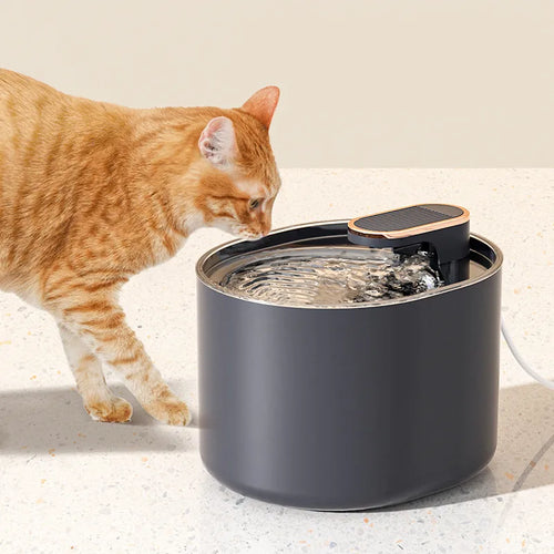 Automatisk Vattendispenser för Hund och Katt