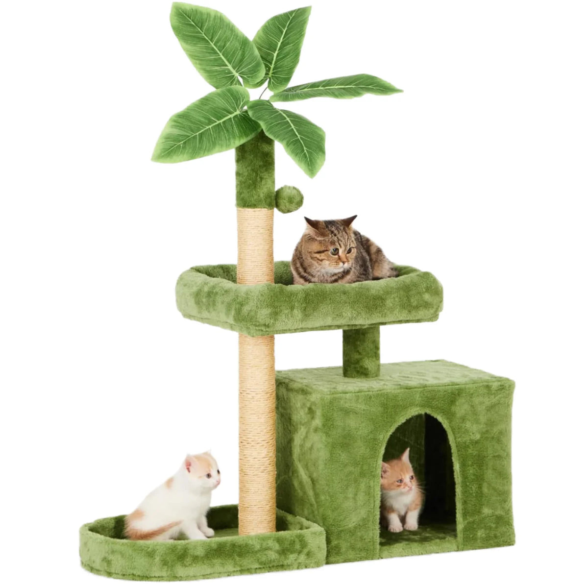 Klösträd i Sisal med Klöspelare och Sovgrotta för Katt