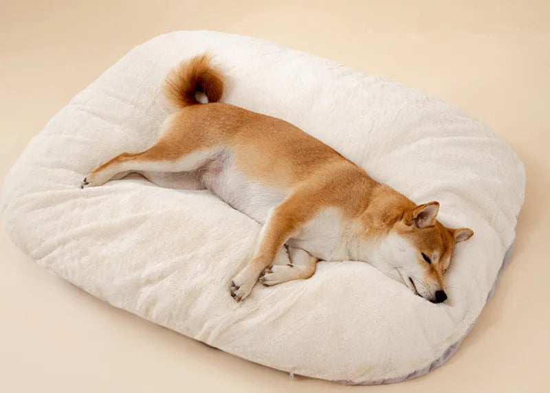 Mysig Oval Plyschbädd för Hund och Katt