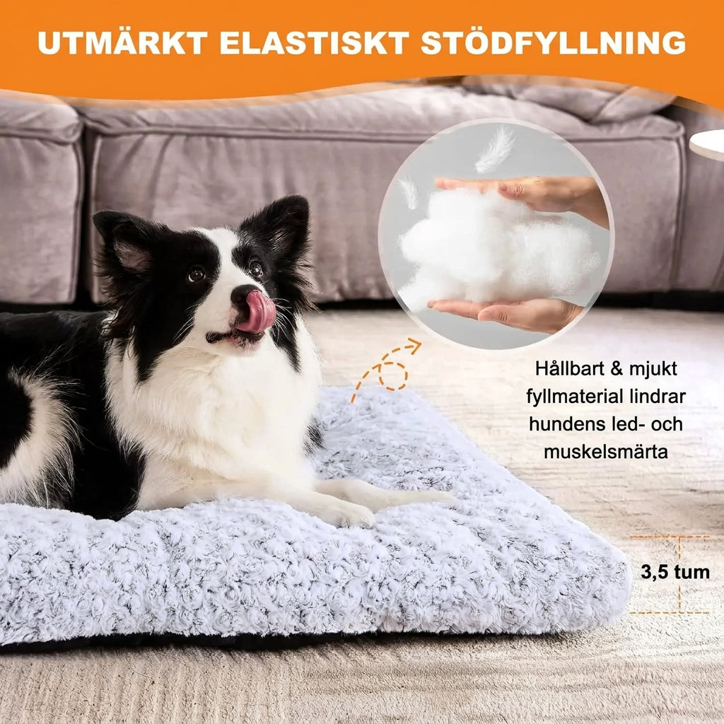 Mjuk Anti Slip Plyschbädd för Hund och Katt