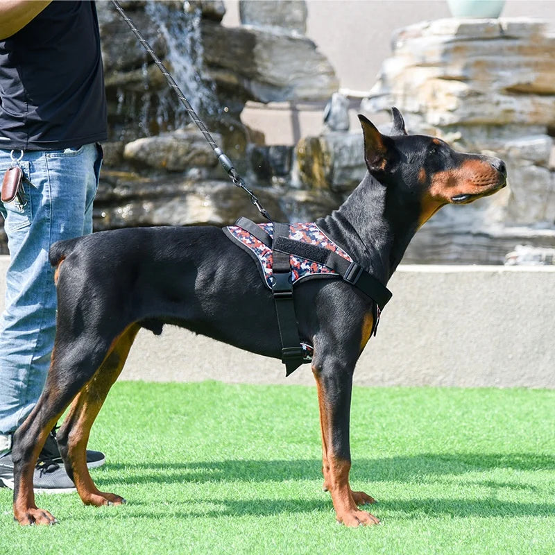 Justerbar Reflekterande Hundsele för Promenad och Träning