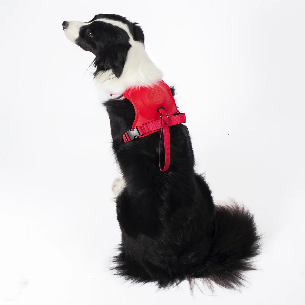 Justerbar Reflekterande Hundsele med Koppel för Promenad och Träning