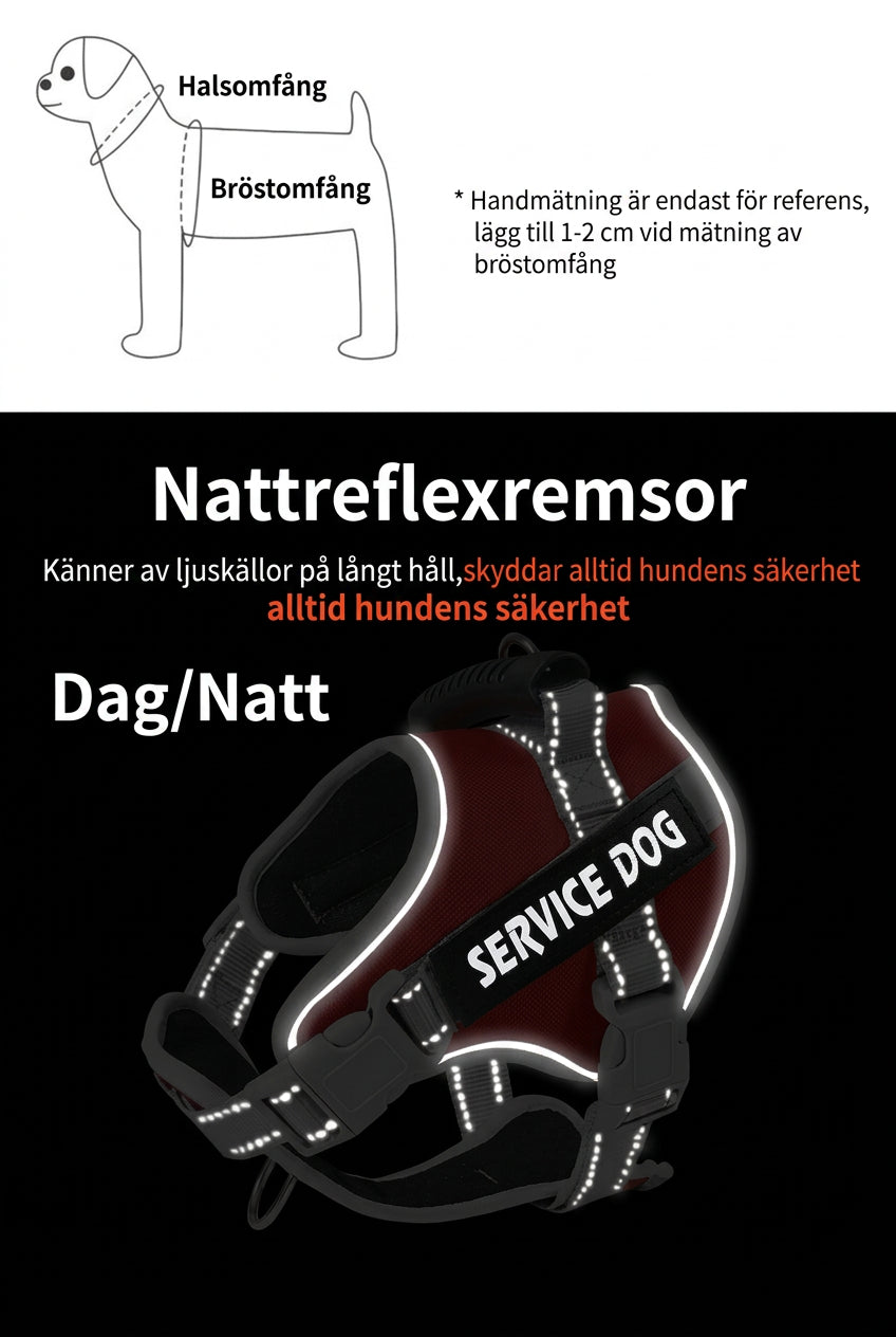 Justerbar Reflekterande Hundsele för Promenad och Träning