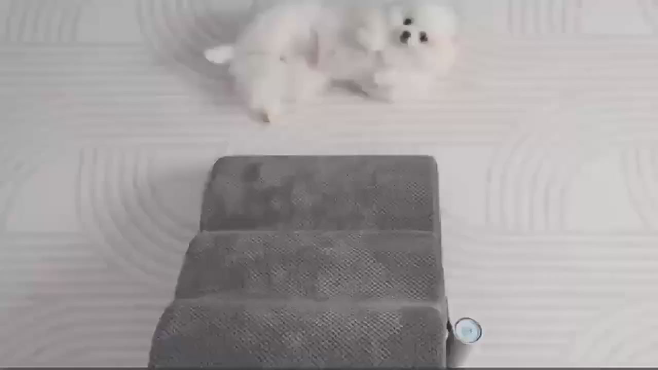 Lyxig Plyschbädd för Hund och Katt